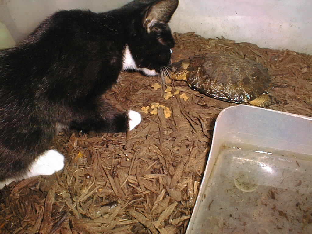 sharing a snack